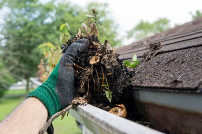 Gutter Cleaning in Dover, Florida